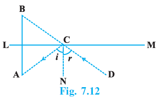 Page 69 Chapter 7 Class 9th NCERT Exemplar
